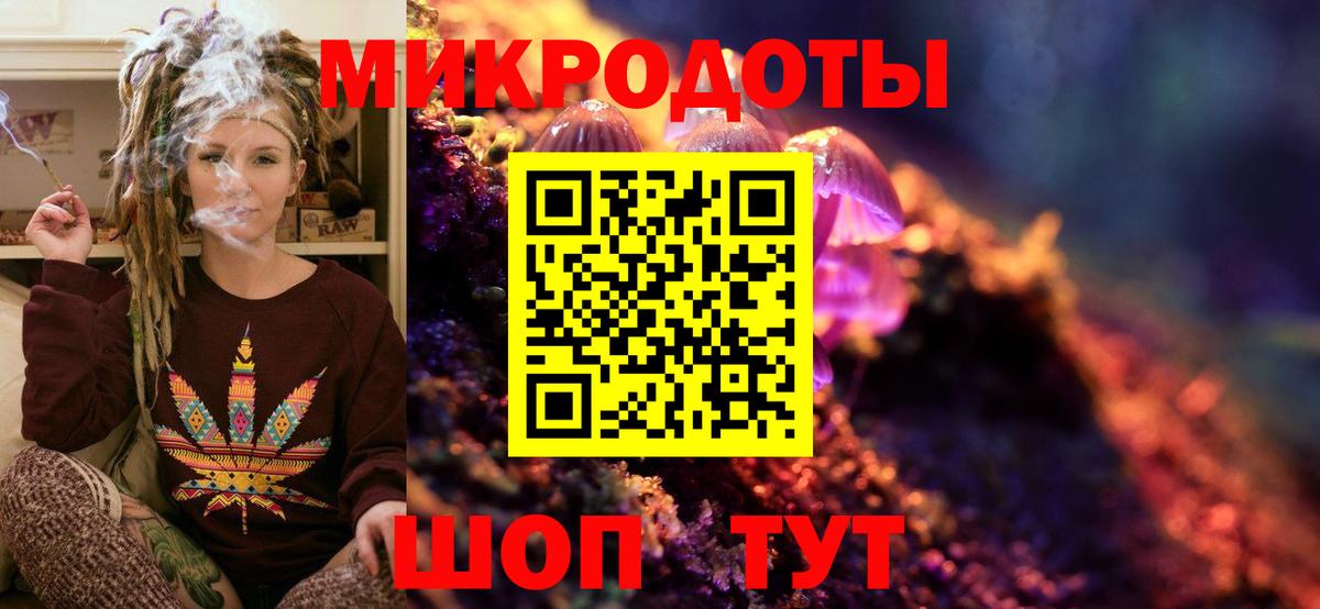 Вязьма  Псилоцибиновые грибы Cubensis  Вход с VPN 